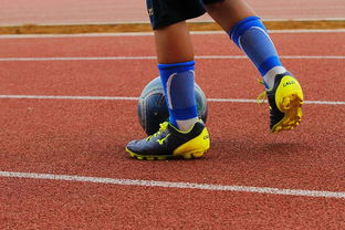 米兰电竞官方网站-中国青少年篮球运动员身体机能发展研究，我国篮球青少年运动发展现状